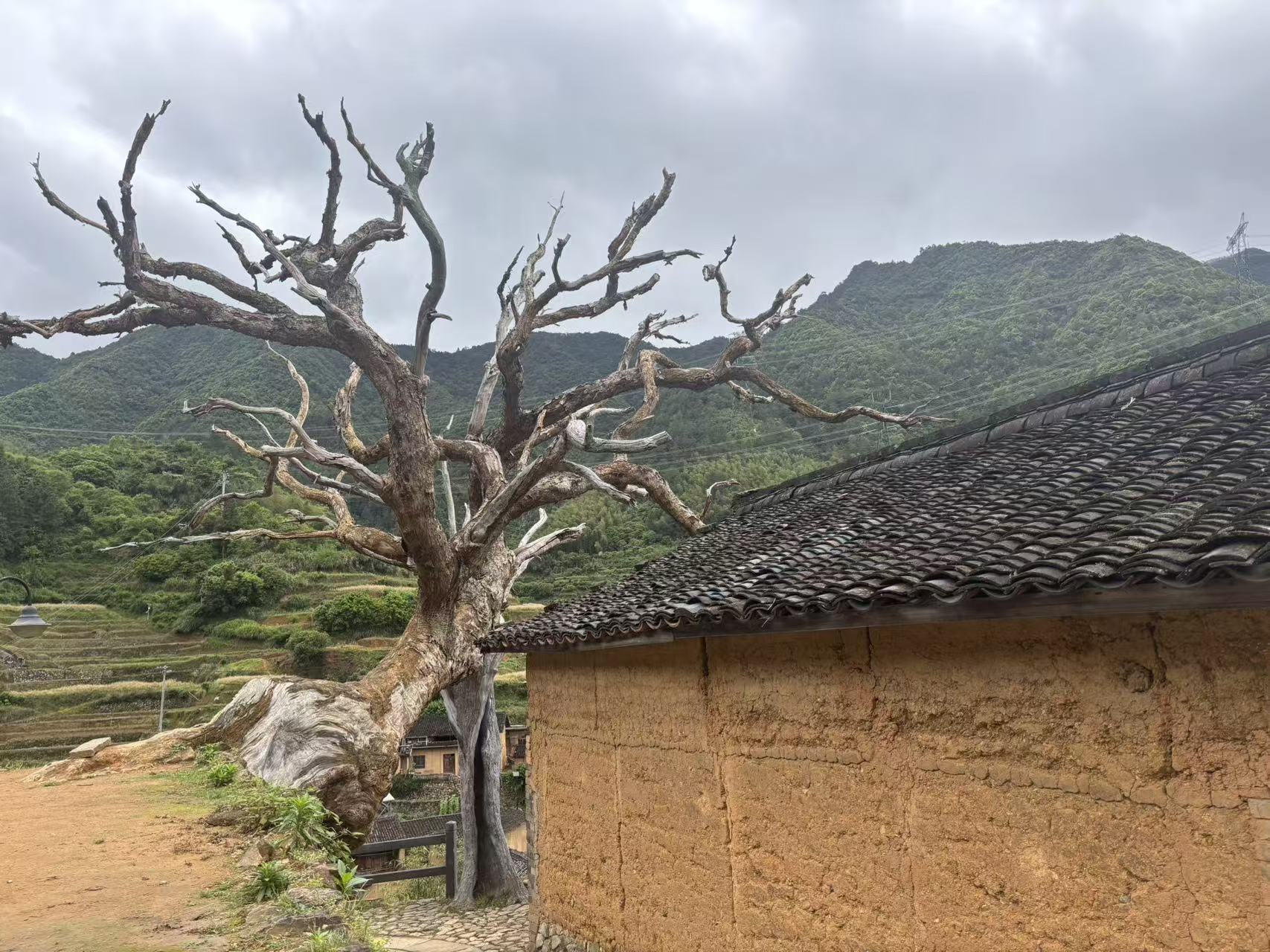 微信图片_20260515211821_5_12.jpg
