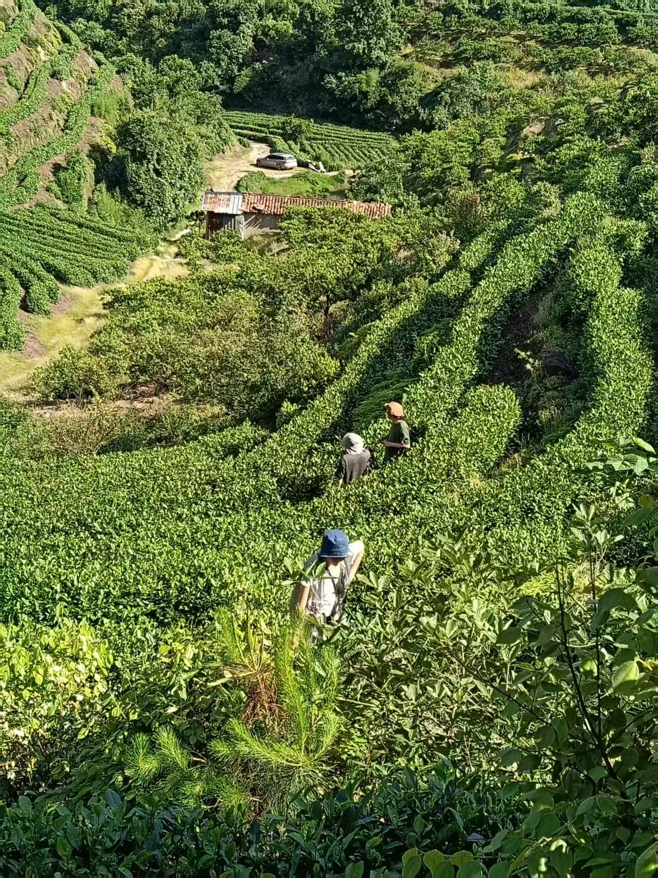 微信图片_20260518193115_4_18.jpg